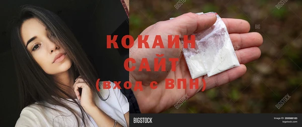 соль курить ск Алзамай