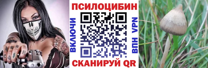 Галлюциногенные грибы GOLDEN TEACHER  hydra   Советская Гавань  купить закладку 